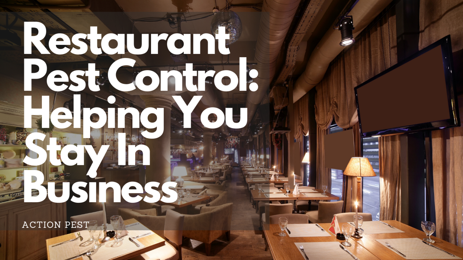 Restaurant Pest Control Helping You Stay In Business Actionpest