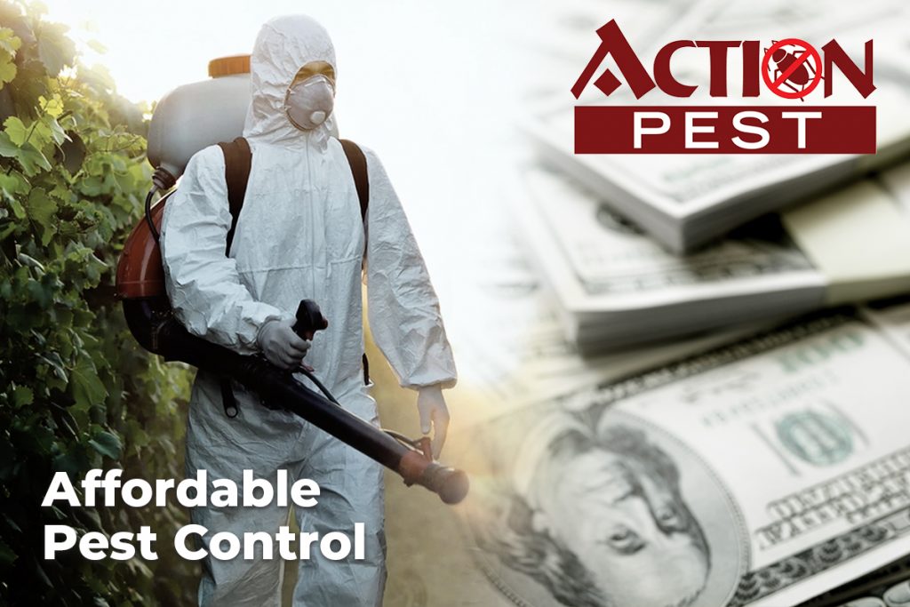 Affordable Pest Control: How To Source The Best | Action ...