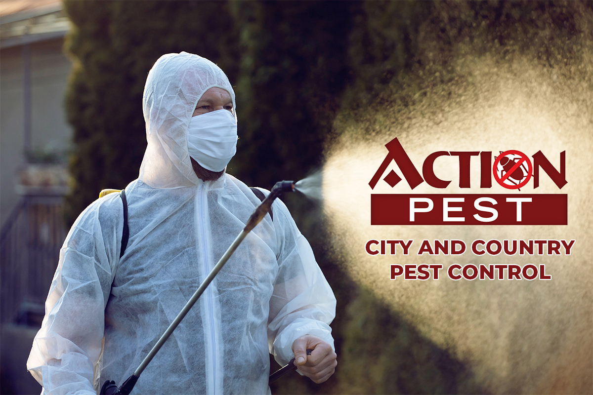 City And Country Pest Control 