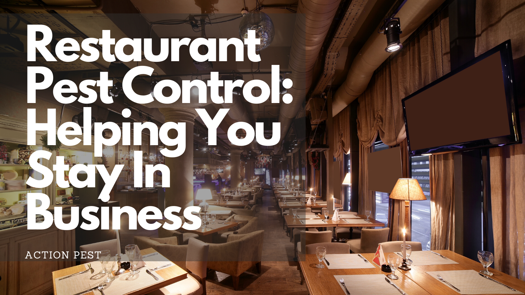 Restaurant Pest Control: Helping You Stay In Business - ActionPest