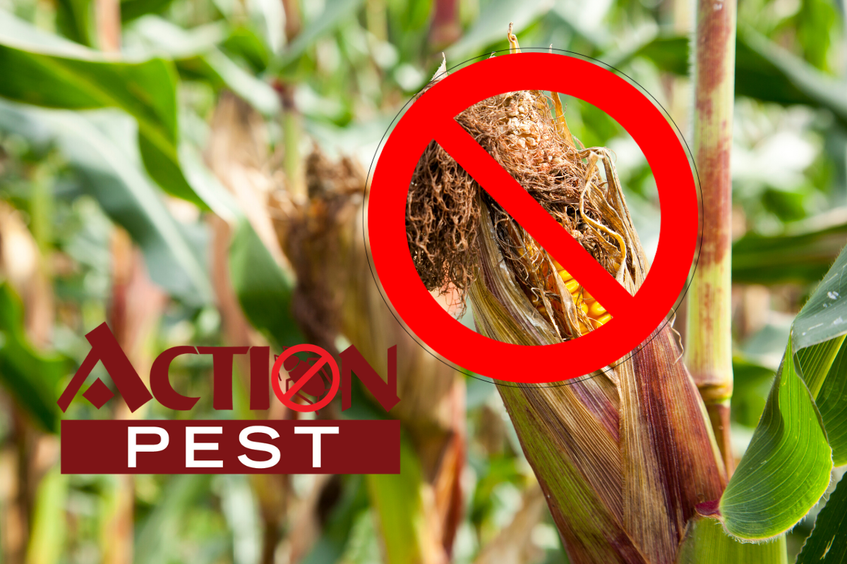 What Are The Methods Of Pest Control In Agriculture