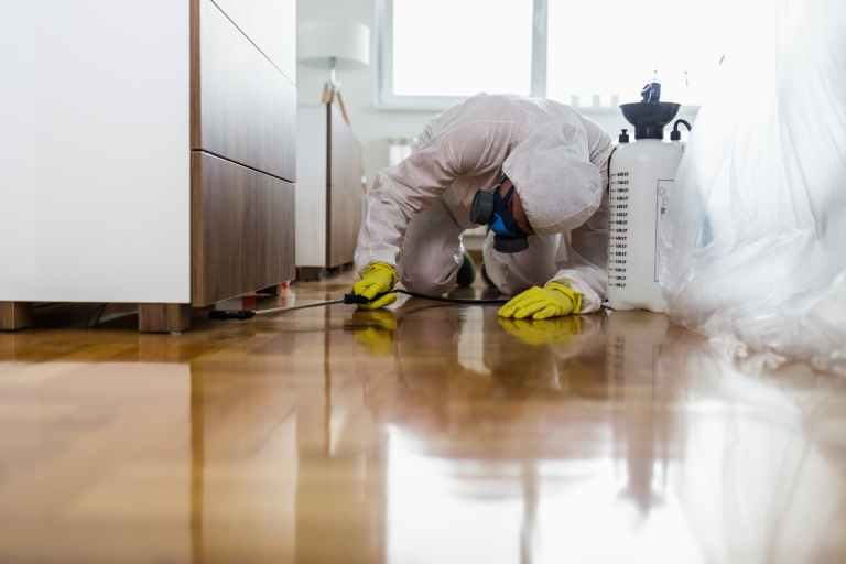 Bug Infestations In Your Home | Action Pest Control