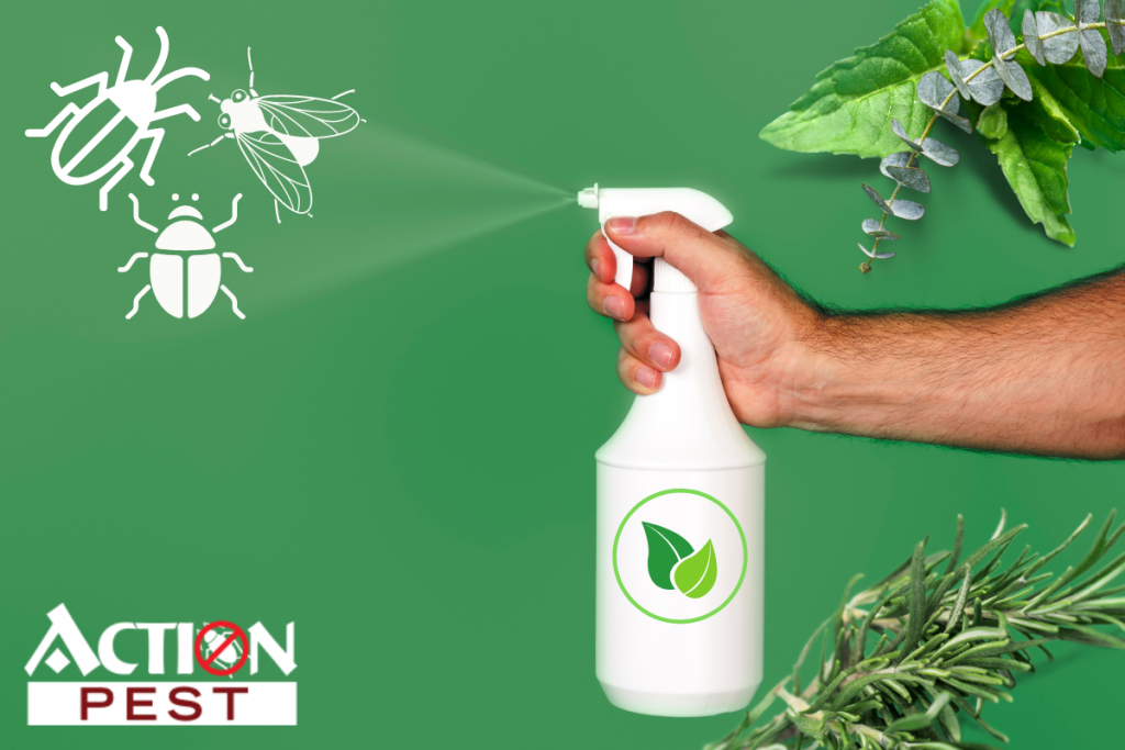 This image shows a white spray bottle along with mint, eucalyptus, and rosemary for natural pest control remedies. 