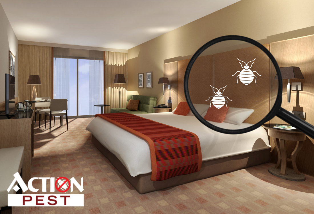 bed-bug-inspection-tips-for-those-who-travel-action-pest-control