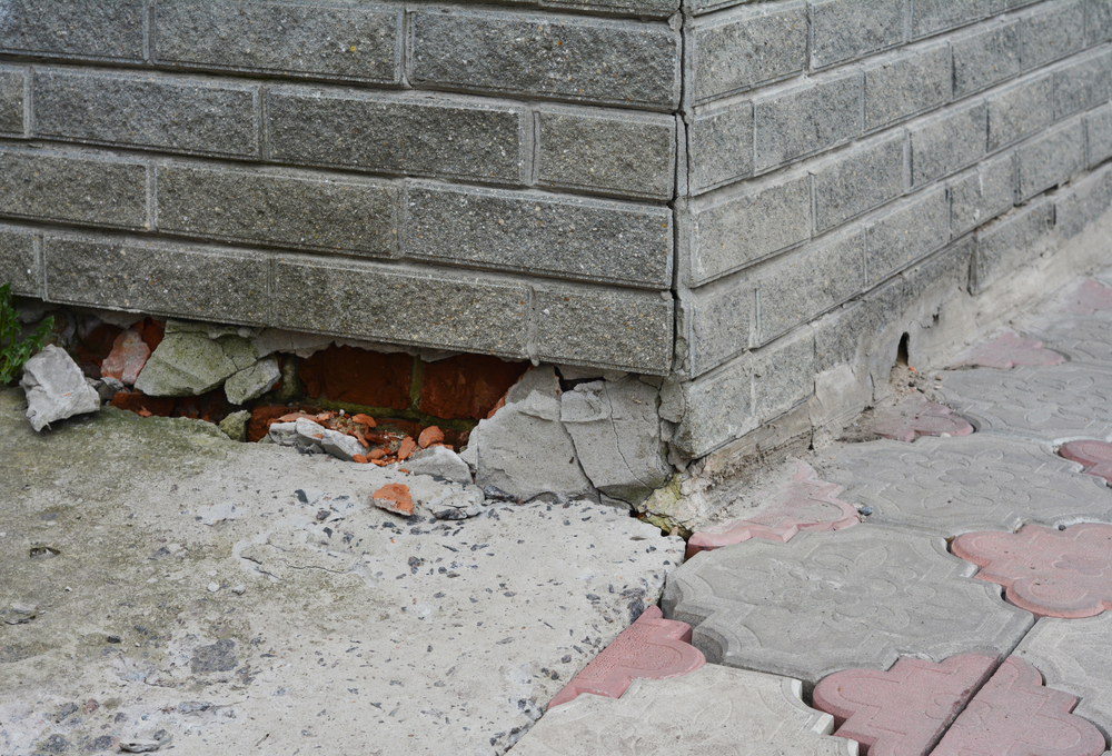 A picture of a crack in the foundation of a building. A piece of it is gone that is exposing a hole for potential rodents to enter the building.