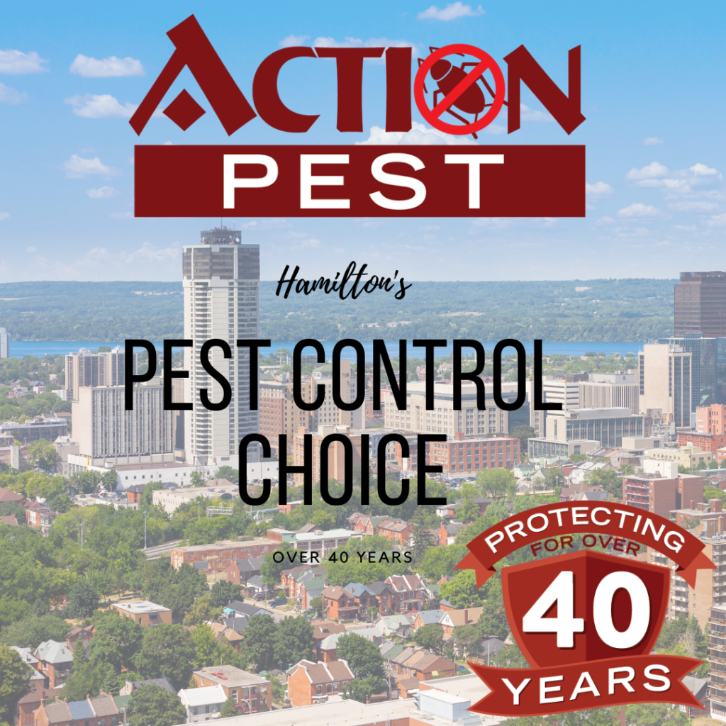 pest control hamilton